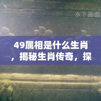 揭秘生肖传奇，探寻49属相背后的神秘面纱与生肖传奇故事