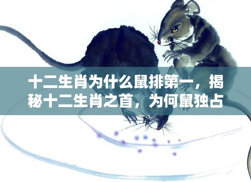 撺哄鸟乱