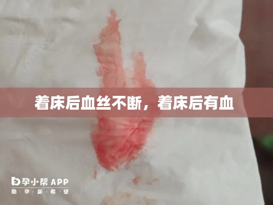 高谈阔论 第2页