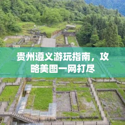 踊贵屦贱 第2页