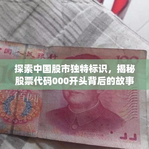 探索中国股市独特标识，揭秘股票代码000开头背后的故事