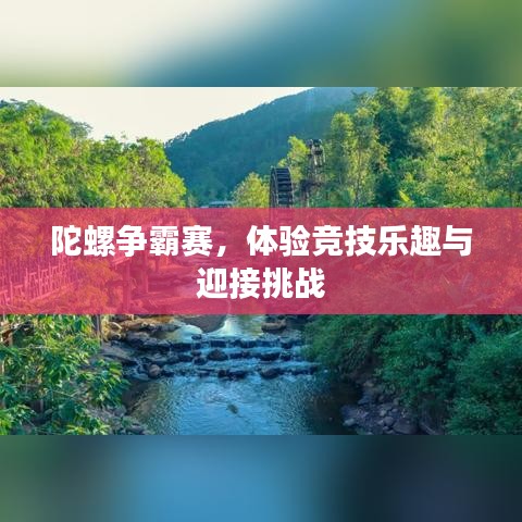 陀螺争霸赛，体验竞技乐趣与迎接挑战