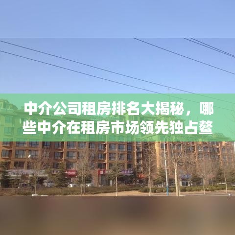 中介公司租房排名大揭秘，哪些中介在租房市场领先独占鳌头？