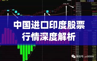 中国进口印度股票行情深度解析