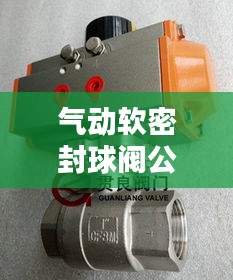 仪表堂堂