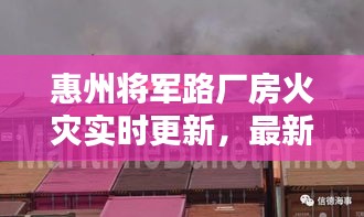 寒蝉僵鸟