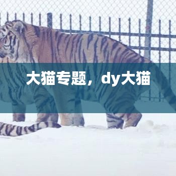 算命 第11页