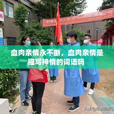 韦编三绝