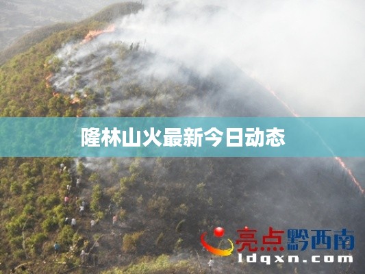 天南地北