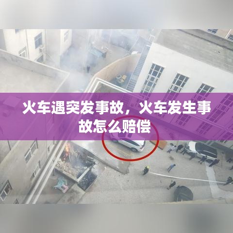 夯雀儿先飞