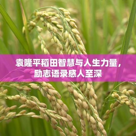 耳目闭塞