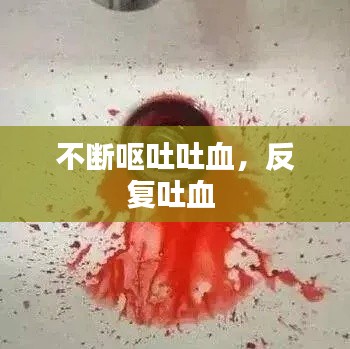 矢志不渝