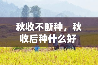 普度众生