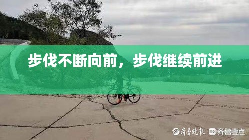 目不转睛