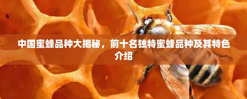 无拘无束