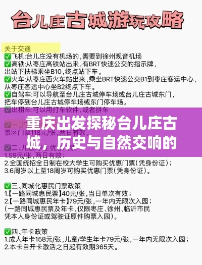 一本正经