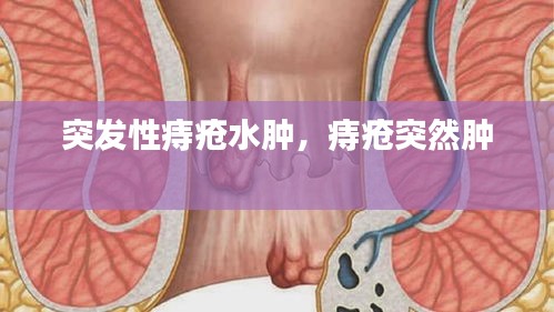 月里嫦娥