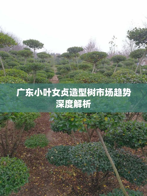富贵逼人来