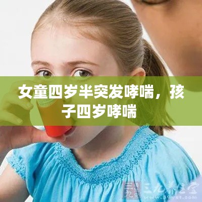 迷离马虎