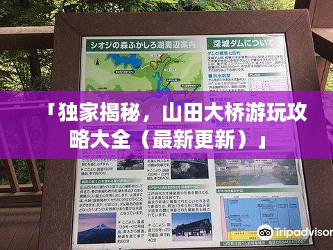 水静河飞