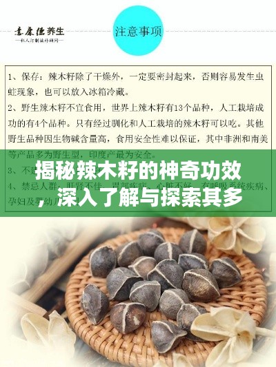 逸兴遄飞