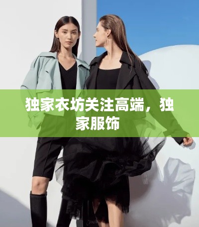 凤凰于飞
