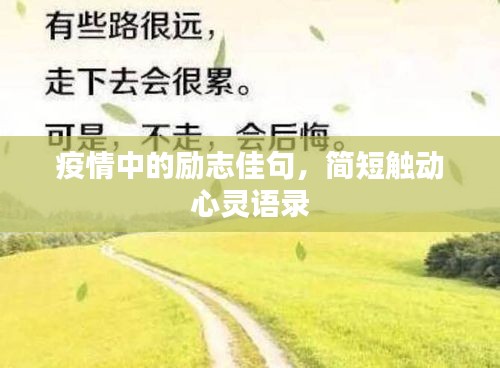 读书三到