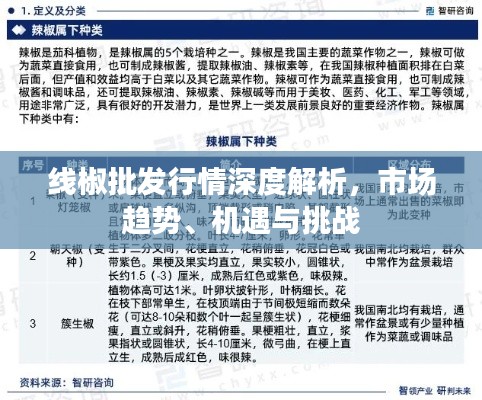 朴素无华