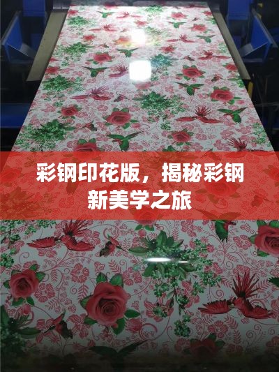 大张挞伐