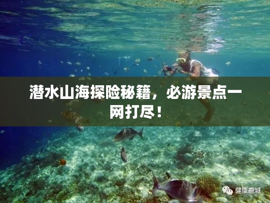 大张旗鼓