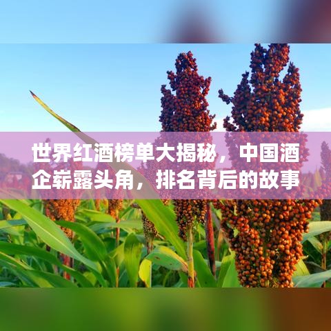 2025年5月15日