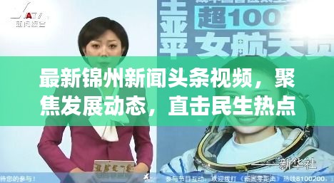最新锦州新闻头条视频，聚焦发展动态，直击民生热点（18号独家报道）