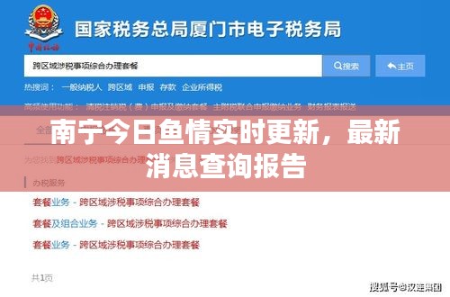 南宁今日鱼情实时更新，最新消息查询报告