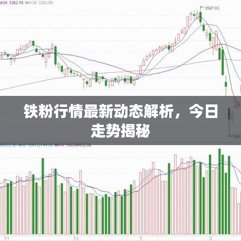 铁粉行情最新动态解析，今日走势揭秘