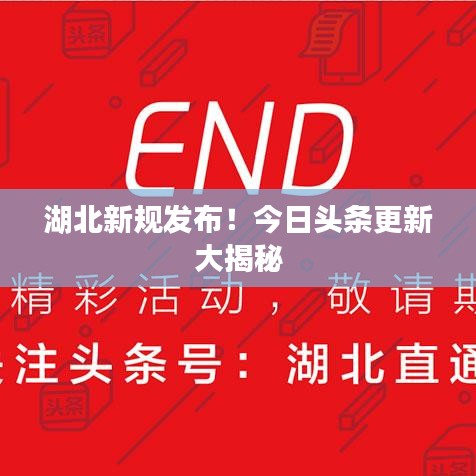 2025年6月11日