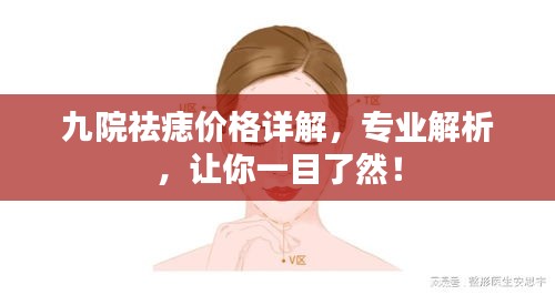 九院祛痣价格详解，专业解析，让你一目了然！